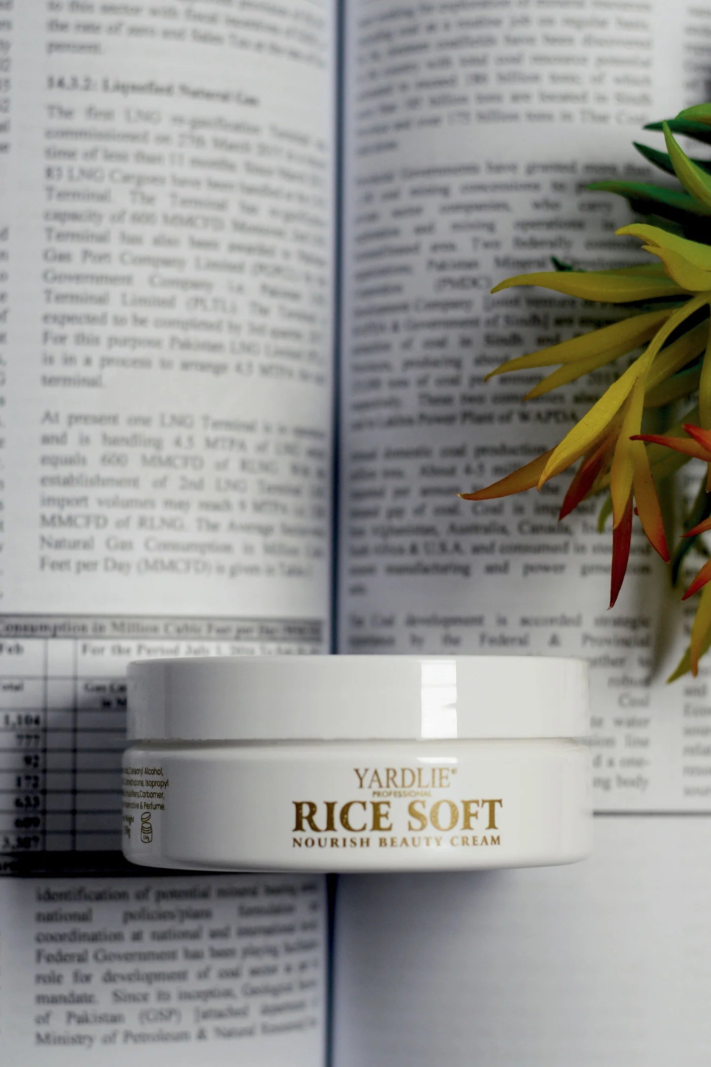 Yardlie Hydrating Rice Face Cream 150g | Lightweight Daily Moisturizer